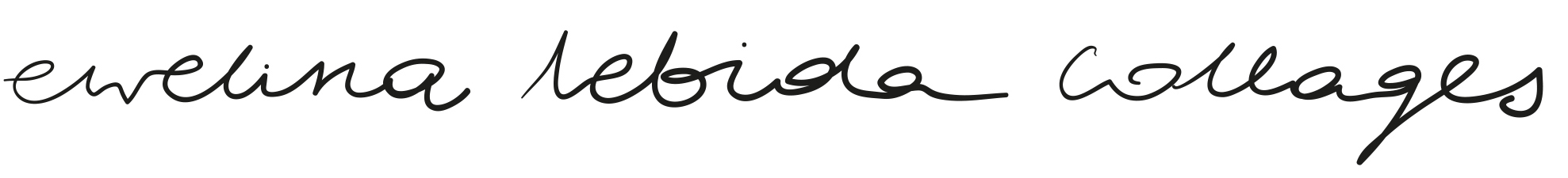 ewelina lebida collages